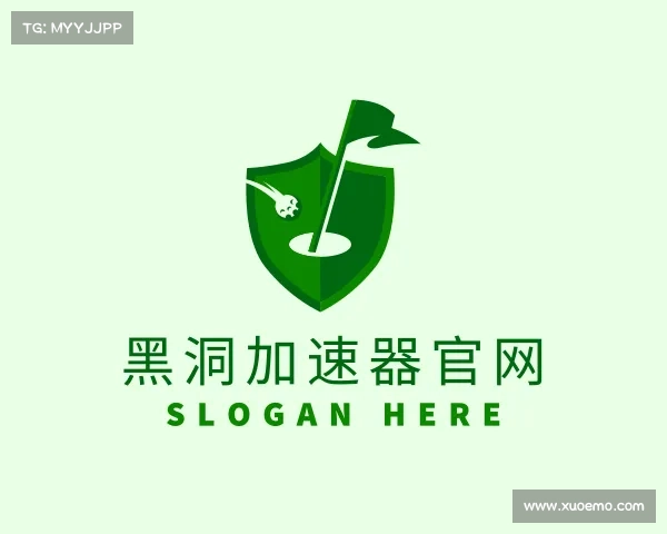 解读黑洞加速器官网